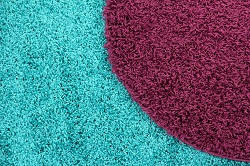 carpet cleaning services in kingston