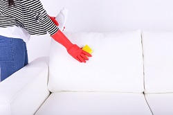 upholstery cleaning services in kingston